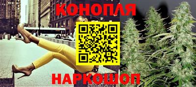 apvp Обнинск
