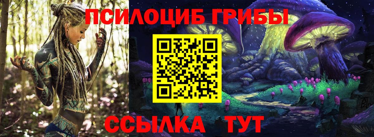 Галлюциногенные грибы GOLDEN TEACHER  Вход с VPN  купить наркотик  Реж 